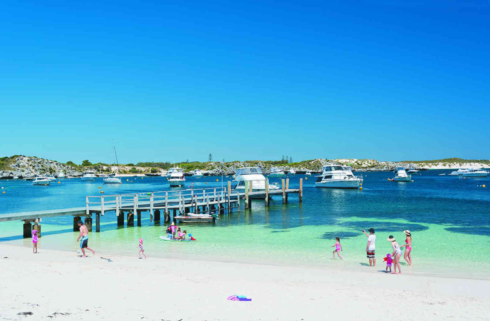 rottnest-ferry-deals-specials-sealink-rottnest-island