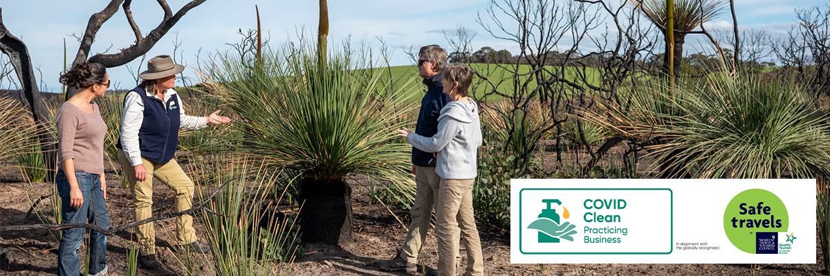 Travel Updates Covid 19 Kangaroo Island Odysseys Kangaroo Island Odysseys