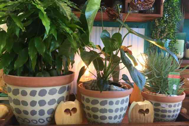 Noreen's Seaside Shop